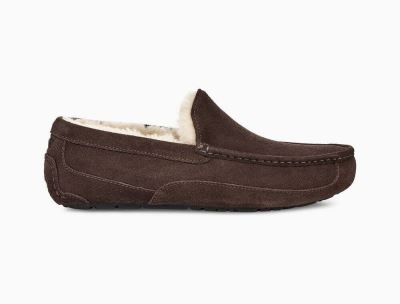 UGG Ascot Mens Slippers Espresso/ Chocolate - AU 867HE